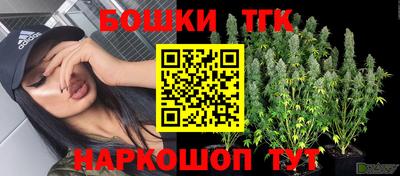 прущие грибы Гусев