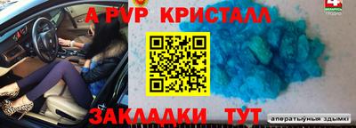 прущие грибы Гусев