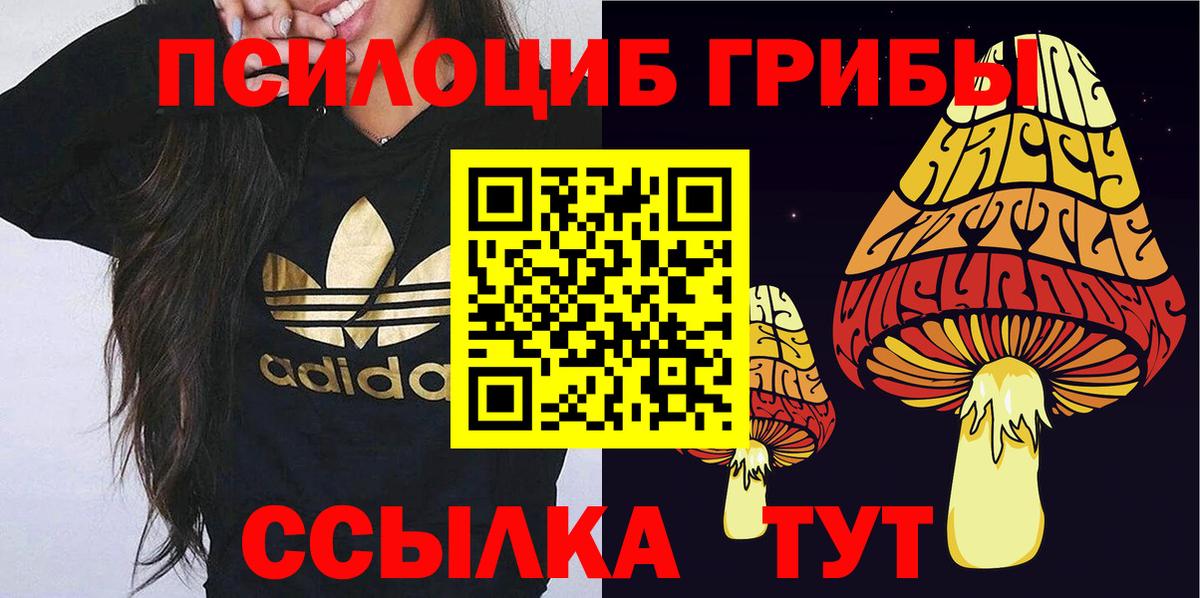 Псилоцибиновые грибы Cubensis Солнечногорск