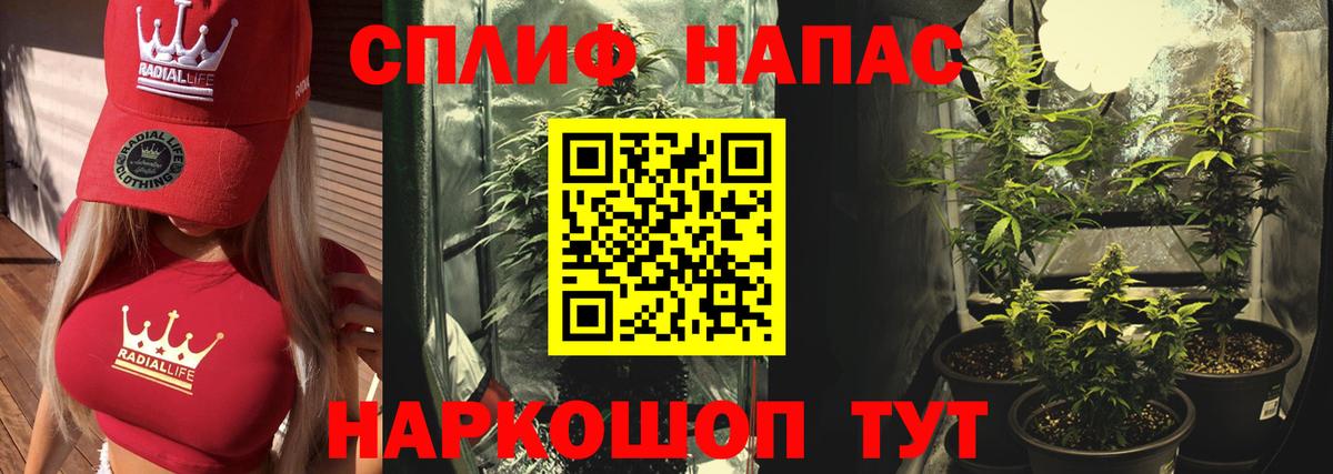 Бошки Шишки марихуана Солнечногорск